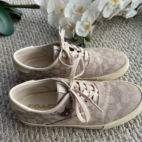 *Customized Coach Sneakers*